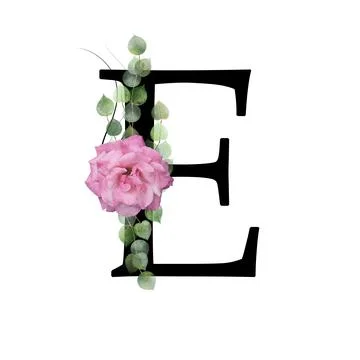 Floral monogram, letter E - decorated with pink rose and watercolor leaves Illustrazione stock