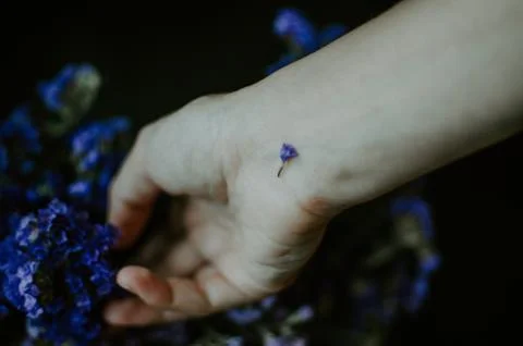 Floral natural composition with hand Stock Photos