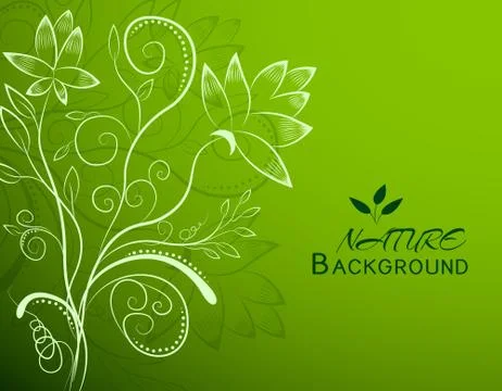 Floral nature background concept. Vector illustration Stock Illustration
