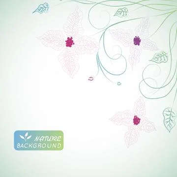 Floral nature background concept. Vector illustration Stock Illustration