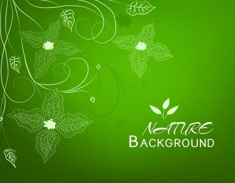 Floral nature background concept. Vector illustration Stock Illustration