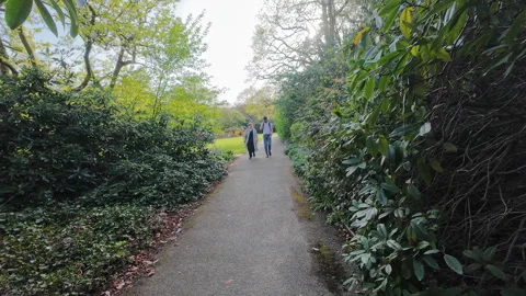 Floral path. Stock Footage 272377372