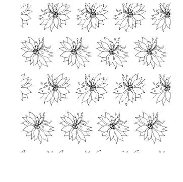 Floral pattern 2 Vector seamless pattern with nigella flowers Line flowers on Stock Illustration