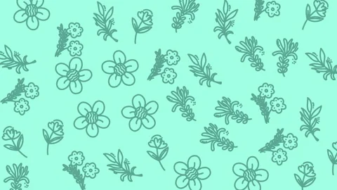 Floral pattern agriculture a vibrant background showcasing cultivated flower and Stock Footage 322047876