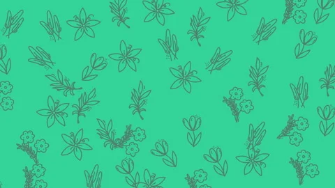 Floral pattern animation on green chroma key background, seamless loop 스톡 동영상 328555634