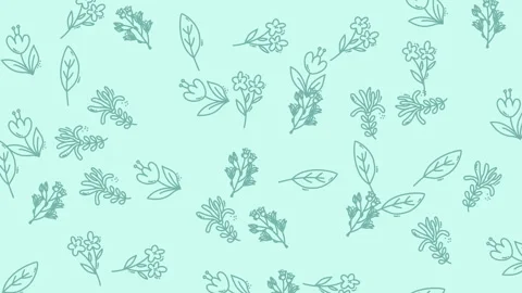 Floral pattern animation with hand drawn flowers and leaves on pastel green.. 스톡 동영상 328556538