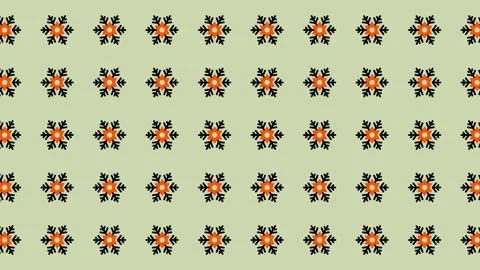 Floral Pattern Animation - Seamless Looping Background with Geometric Flowers Stock Footage 325379609