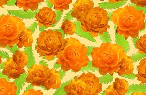 Floral pattern, a background of bright orange forest flowers with green leave Stock Photos