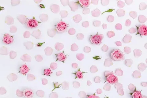 Floral pattern background, romantic card with pink roses, top view Stock Photos