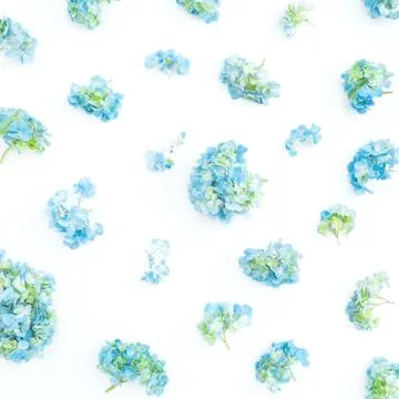 Floral pattern of blue hydrangea flowers on white background. Flat lay, top v Foto stock