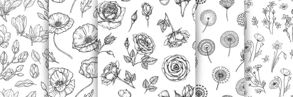 Floral pattern bundle. Flower rose dandelion magnolia seamless texture. Wild Stock Illustration