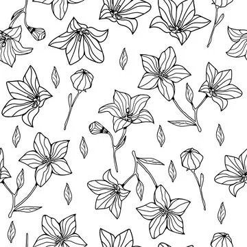 Floral pattern design in black colors with line art Illustration