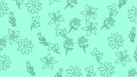 Floral Pattern Design - Delicate Outlines on Mint Green. Stock Footage 321856487
