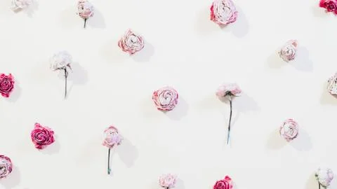 Floral pattern design flower composition rose head Foto stock