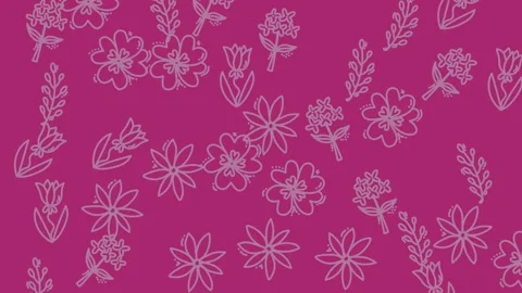 Floral Pattern Design on Magenta Background - A Delicate and Elegant Aestheti Stock Footage 321856512