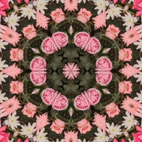 Floral pattern design in muted pink hues, kaleidoscope, abstract background Stock Footage 227528881