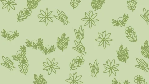 Floral Pattern Design - Seamless Green Flower Background for Creative Project Stock Footage 321856511