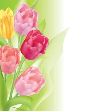 Floral pattern. Flower tulip background. Flourish garden border Stockillustratie