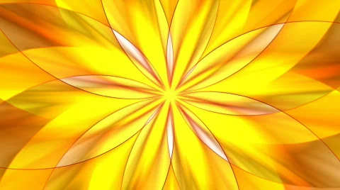 Floral pattern Stock Footage 785685