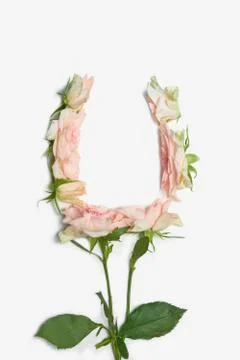 Floral pattern in the form of a vase on the table. Top view and copy Stock Photos