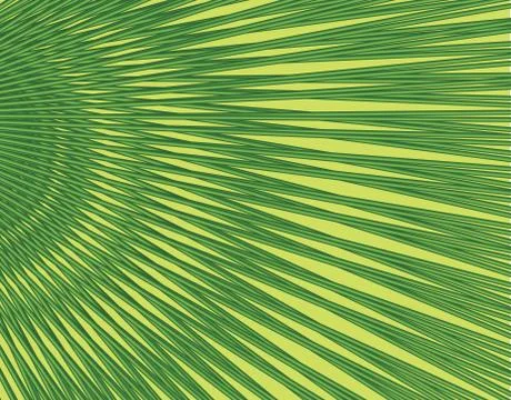 Floral pattern. FPalm leaf background. Tropical garden texture Stock Illustration