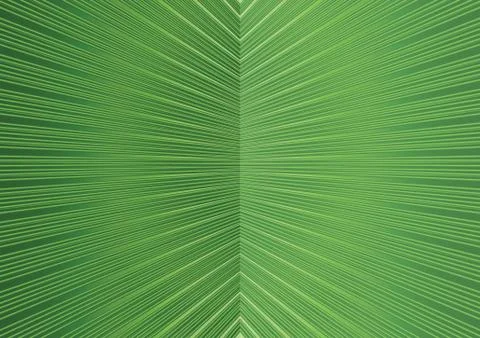 Floral pattern. FPalm leaf background. Tropical garden texture イラスト素材