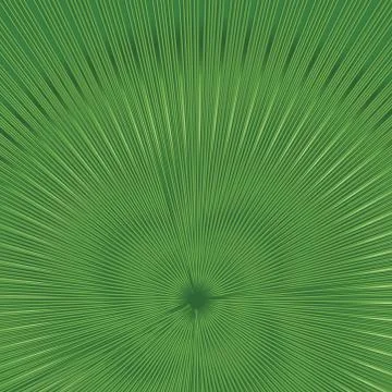 Floral pattern. FPalm leaf background. Tropical garden texture イラスト素材