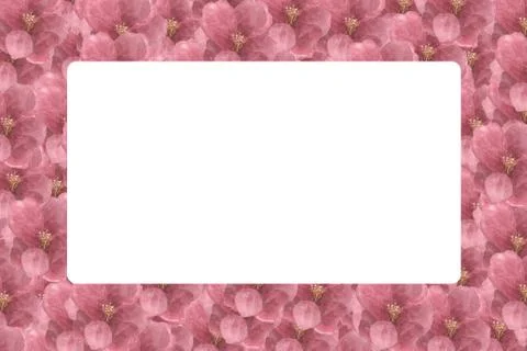 Floral Pattern Frame with Hydrangea in isolated white background - Flowers De Stock Illustration