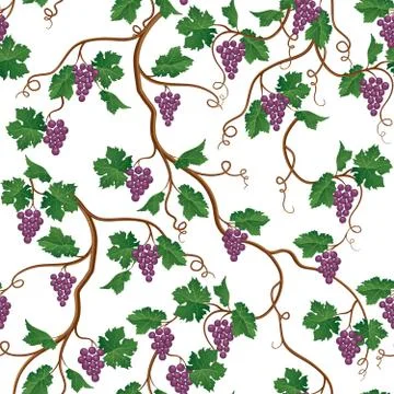 Floral pattern with grape branch. Wineyard seamless wallpaper. G Illustrazione stock