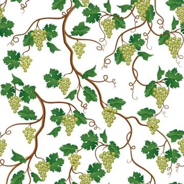 Floral pattern with grape branch. Wineyard seamless wallpaper. G Stock Illustration