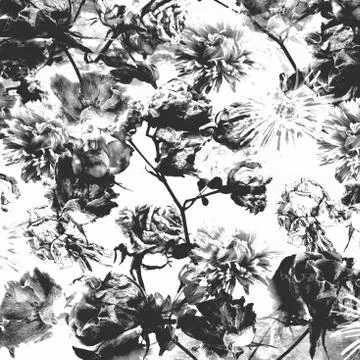 Floral pattern on gray grunge background Stock Photos