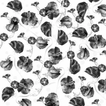 Floral pattern on a green background Stock Photos