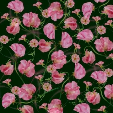 Floral pattern on a green background Stock Photos