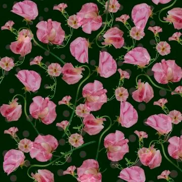 Floral pattern on a green background Stock Photos