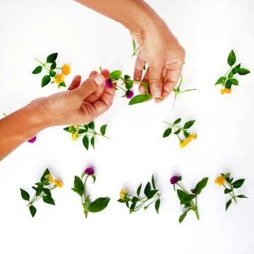 Floral pattern with hand, pink clover and yellow wildflowers on white background Stock Photos