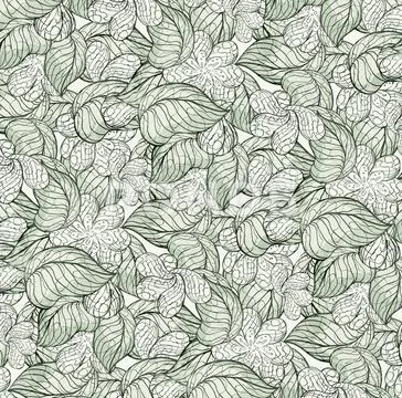 Floral Pattern イラスト素材