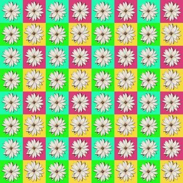 Floral pattern Stock Illustration