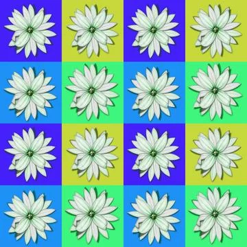 Floral pattern Stock Illustration