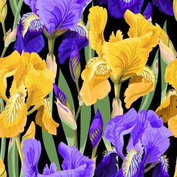 Floral pattern with iris flowers Stock Illustration