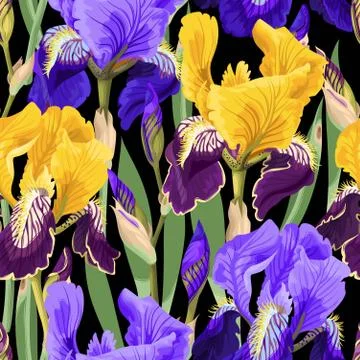 Floral pattern with iris flowers Stock Illustration