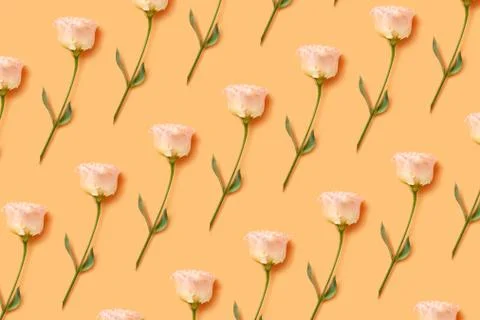 Floral pattern of a light orange eustoma. Foto stock