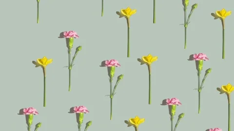 A floral pattern moves on a green-gray background. Floral animated background Stock Footage 239003563