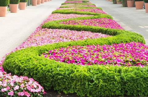 Floral pattern in a park Flowerbed with a pattern forming a sinuous line. ... 写真素材