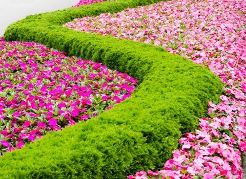 Floral pattern in a park Stock Photos