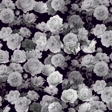 Floral pattern Stock Photos