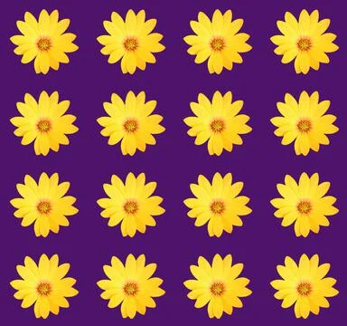 Floral pattern Stock Photos