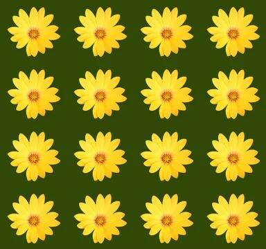 Floral pattern Stock Photos
