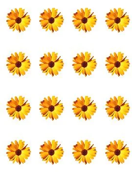 Floral pattern Stock Photos