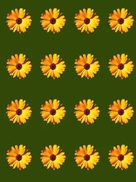 Floral pattern Stock Photos