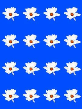 Floral pattern Foto stock